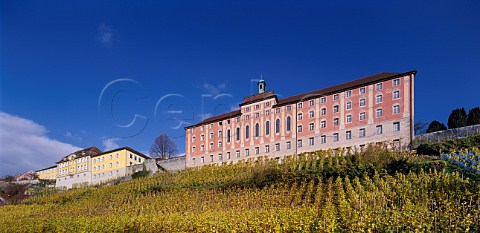 Altes Schloss and Neues Schloss above the Rieschen   vineyard On the north shore of the Bodensee at   Meersburg Baden Germany      Bodensee