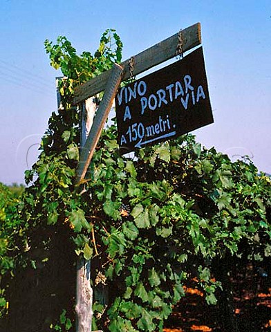 Vino a Portar sign by vineyard Frascati Lazio   Italy