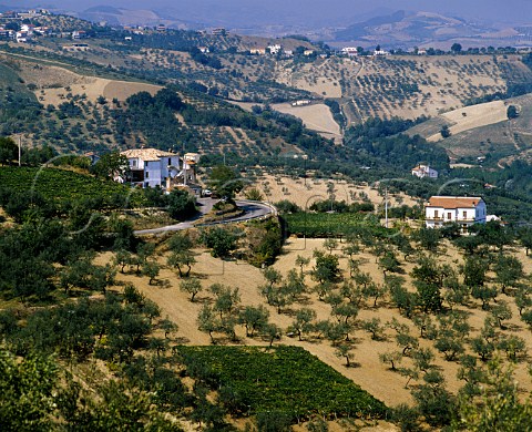 Landscape near Penne west of Pescara   Abruzzi Italy