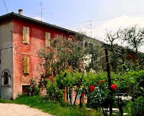 House and small vineyard at Calmasino   near Bardolino Veneto Italy