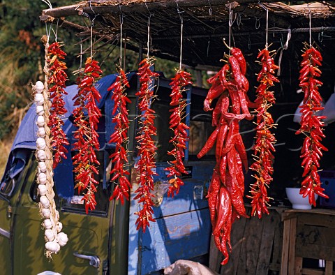 Hot peppers for sale on roadside stall   Near Sorrento Campania Italy