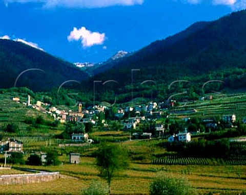 Castione and its vineyards near Sondrio Lombardy   Italy           Valtellina