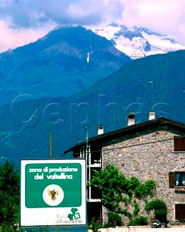 Valtellina wine sign  Lombardy Italy