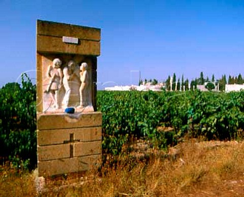 Vineyard and station of the cross   Salice Salentino Puglia Italy