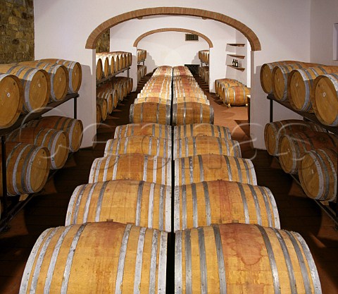 Barriques in the cellars of Fontodi near Panzano in Chianti Tuscany Italy Chianti Classico