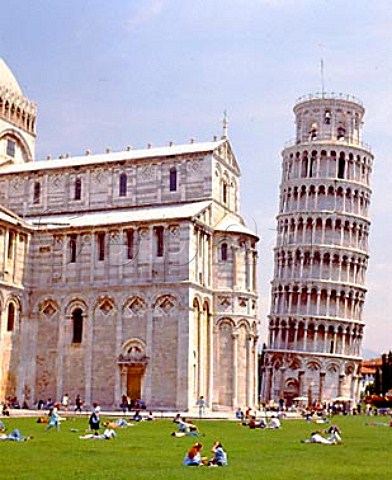 The Leaning Tower of Pisa and Cathedral in the   Piazza dei Miracoli Pisa Tuscany Italy