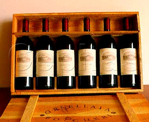 Wooden case holding 6 bottles of Ornellaia 1989  Bolgheri Tuscany Italy