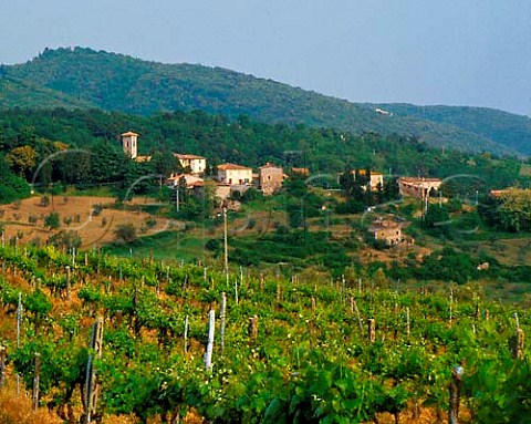 Village of San Regolo viewed over vineyard   near Brolio Tuscany Italy   Chianti Classico