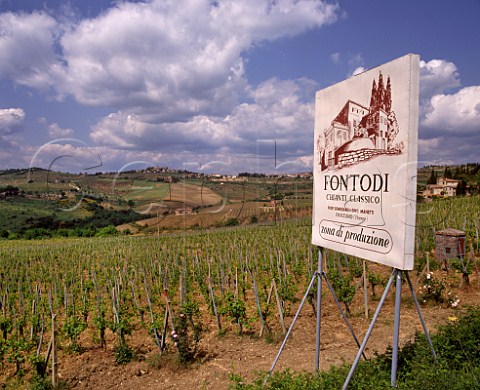 View over the Flaccianello vineyard of Fontodi to the Golden Shell of Panzano so called because the   vineyards are shaped like a seashell     Panzano in Chianti Tuscany Italy  Chianti Classico