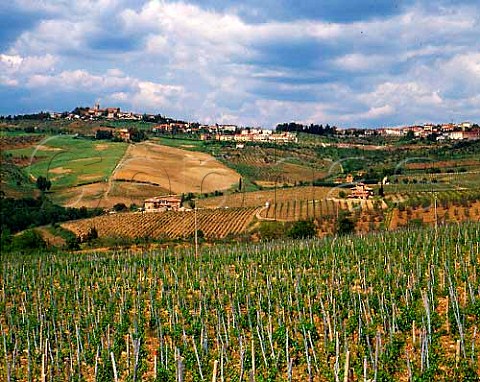 View over the Flaccianello vineyard of Fontodi to the Golden Shell of Panzano  so called because the vineyards are   shaped like a seashell  Panzano in Chianti Tuscany Italy Chianti Classico
