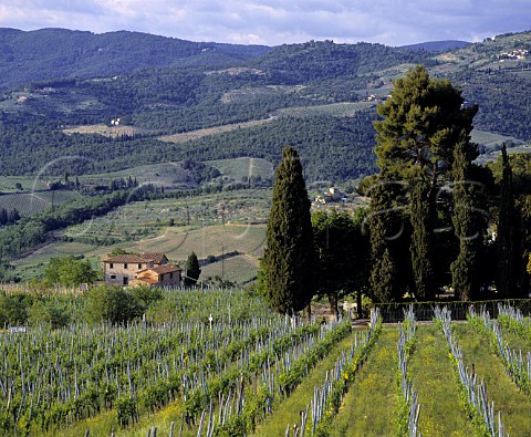 Landscape near Panzano in Chianti Tuscany Italy    Chianti Classico