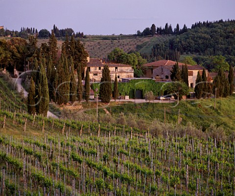 Winery and vineyard of Isole e Olena at Isole Near Barberino Val dElsa Tuscany Italy  Chianti Classico