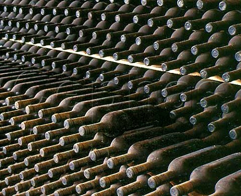 Bottles of Chianti Rufina maturing in   the cellar of Selvapiana Pontassieve   Tuscany Italy