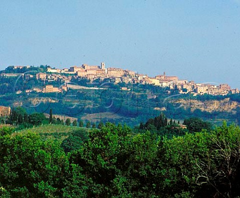 The hilltop town of Montepulciano from the south   east with vineyard in middistance      Tuscany Italy   DOCG Vino Nobile di Montepulciano