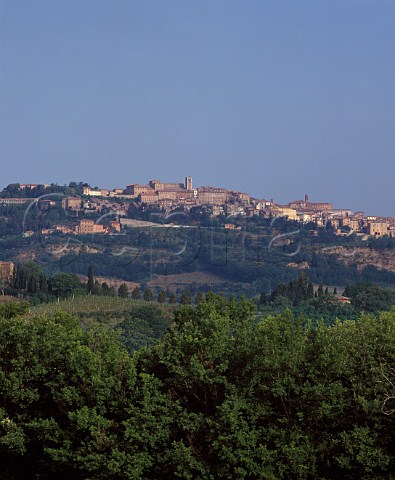 Town of Montepulciano from the southeast with   vineyard in middistance Tuscany Italy   DOCG Vino Nobile di Montepulciano