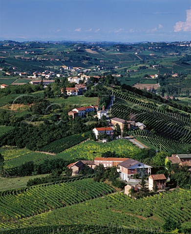Vineyards around village of Rimaldi near Canelli south of Asti Piemonte Italy 