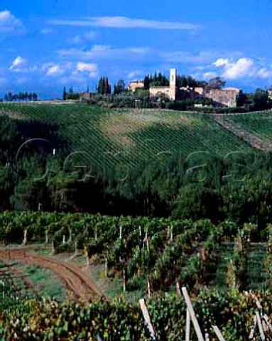Vineyard of Isole e Olena in foreground with Castello di Cortine in the distance   Near Barberino Val dElsa Barberino Val dElsa Tuscany Italy Chianti Classico