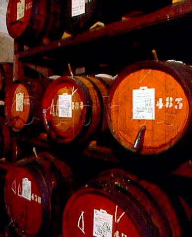 Barrels caratelli of Vin Santo in the vinsantaria   of Montagliari owned by Giovanni Cappelli at Panzano   in Chianti Tuscany Italy