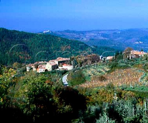View from Lamole near Greve in Chianti Tuscany   Italy  Chianti Classico