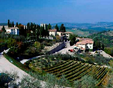 Castello di Verrazzano Greve in Chianti Tuscany   Italy Chianti Classico