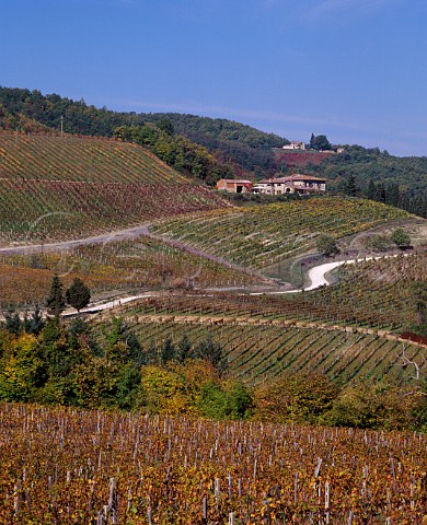 Terrabianca Estate vineyards near Vagliagli Tuscany Italy   Chianti Classico