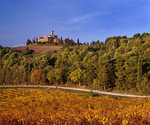 Castello Banfi of Villa Banfi above autumnal vineyard Near SantAngelo Scalo Tuscany Italy Brunello di Montalcino