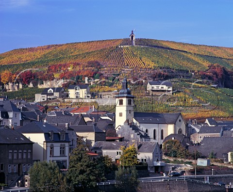 Vineyards above the town of Wormeldange in the Moselle Valley Luxembourg