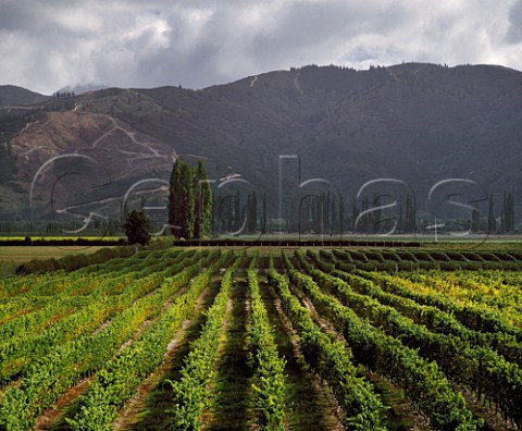 Hunters Vineyards in the Wairau Valley Marlborough New Zealand 