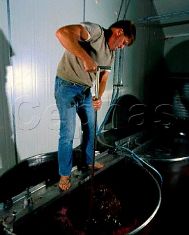 Larry McKenna of Escarpment hand plunging the   grape skin cap on a tank of Pinot Noir   Martinborough New Zealand  Wairarapa