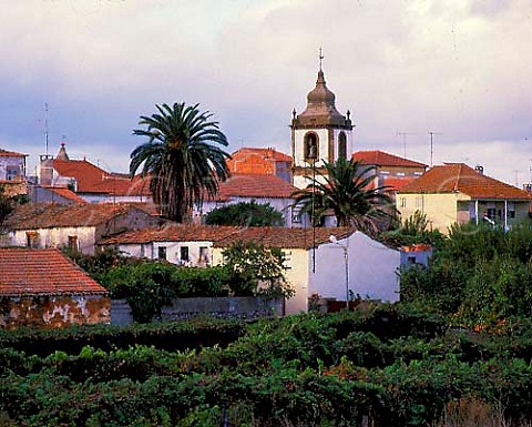 Village of So Joo da Pesqueira high in the Douro Valley Portugal