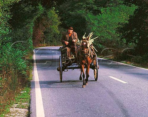 Horse and cart Dao