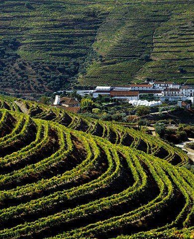 Crofts Quinta do Roeda in the Douro Valley at Pinho Portugal Port