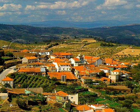 Vineyards and olive trees high in the hills of the   Upper Douro around the village of Poco do Canto near   the Spanish border Portugal