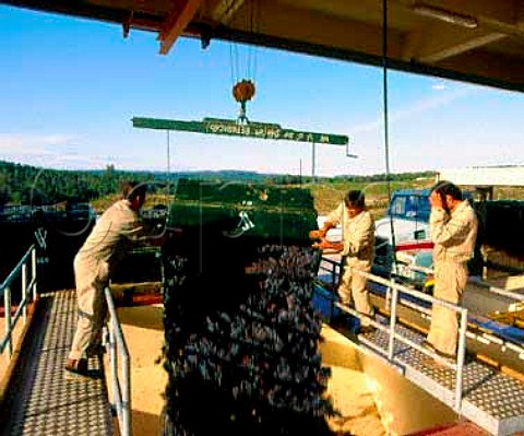 Unloading grapes at the ultramodern Sogrape winery   of Quinta dos Carvalhais The property purchased in   1989 covers 247 acres near the town of Mangualde   Portugal  Dao
