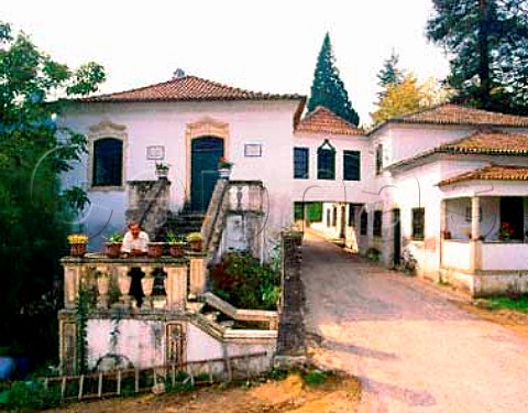 Luis Pato at Quinta do Ribeirinho a property bought   by his grandfather   Anadia Portugal   Bairrada