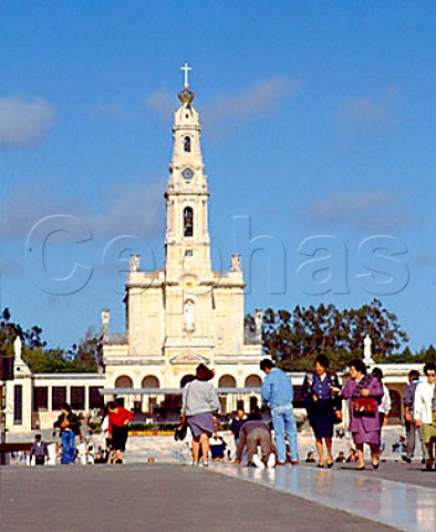 Penitents walking on their knees to the Chapel of   the Apparitions at Fatima  the plaza with the   Basilica at the top can hold over 1000000 people   Fatima Portugal