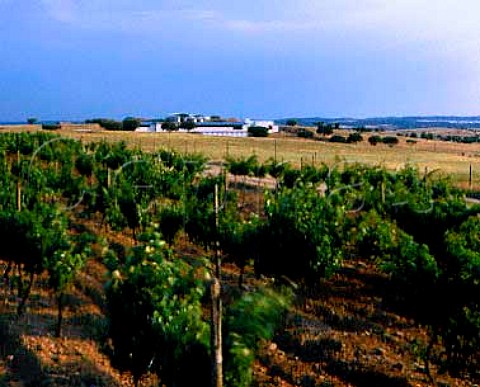 Winery viewed over vineyard on the estate of Herdade do Esporao at Reguengos de Monsaraz Alentejo Portugal