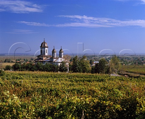 Vineyard and church in the foothills of the   Carpathian Mountains at Dealul Vei Romania     Dealul Mare region