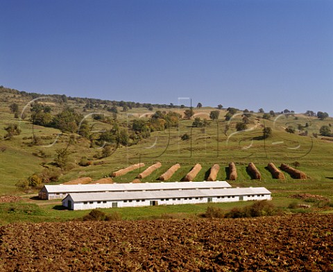 Livestock sheds and hay store Fiser Transylvania   Romania