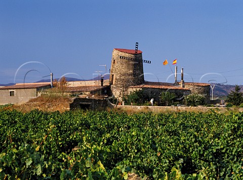 Vineyard and farmhouse with windmill flying both  Catalan and Spanish flags  Garriguella Catalonia Spain  AmpurdanCosta Brava