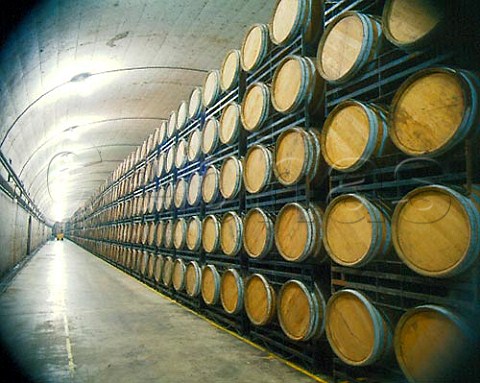 Barrel cellar of Miguel Torres Pacs del Peneds     Catalonia Spain