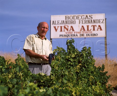 Alejandro Fernndez with Tempranillo grapes in his Via Alta vineyard at Pesquera de Duero Castilla y Len Spain    Ribera del Duero