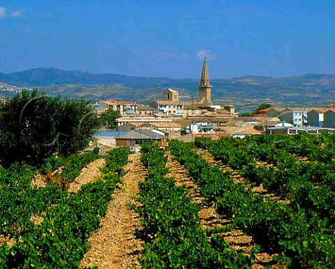 Olite and vineyard Navarra Spain  Once the   capital of the Kings of Navarra