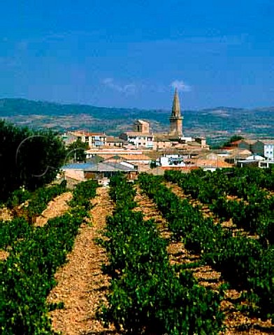 Town of Olite  once the capital of the   Kings of Navarra    Navarra Spain