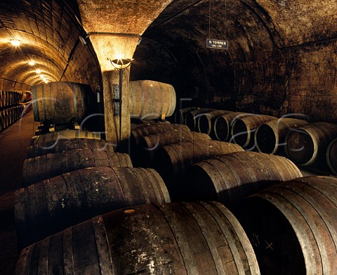 Barrel cellar of Torres Pacs del Peneds  Catalonia Spain  Peneds