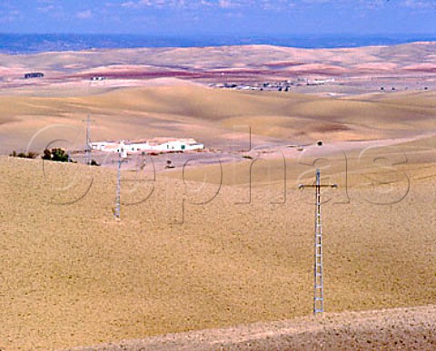 Dry landscape near Cordoba Andaluca Spain