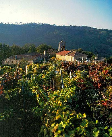 Church amidst vineyards near Carballino  Galicia Spain Ribeiro
