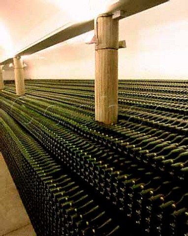 136000 bottles of sparkling   wine stored sur lattes in the bodega of Lapatena Santa Cruz de Arrobaldo Galicia DO   Ribeiro