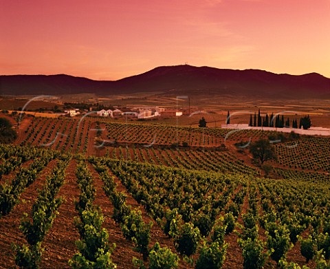Sunset over the Sierra de Algairen with Bodegas Cooperativa San Jos surrounded by vineyards Aguarn Aragon Spain Carinena