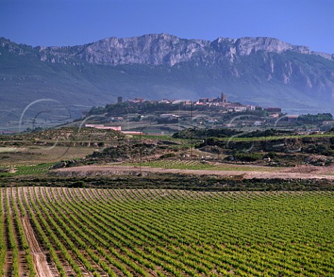 Vineyards of Herederos del Marqus de Riscal with the hilltop town of Laguardia and the Sierra de Cantabria beyond  Alava Spain  Rioja Alavesa